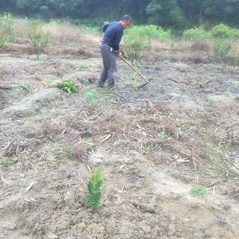 6a45b7e1b06d97ad7f48f6e7d4688ef