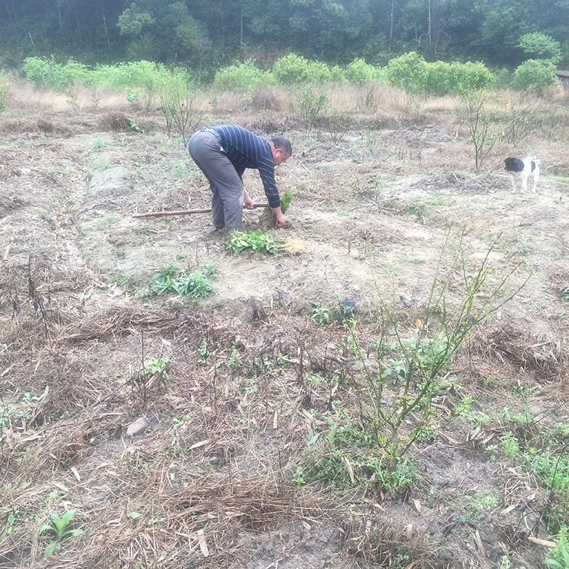 9ce9575e834c9b06a716e4d1c16927a