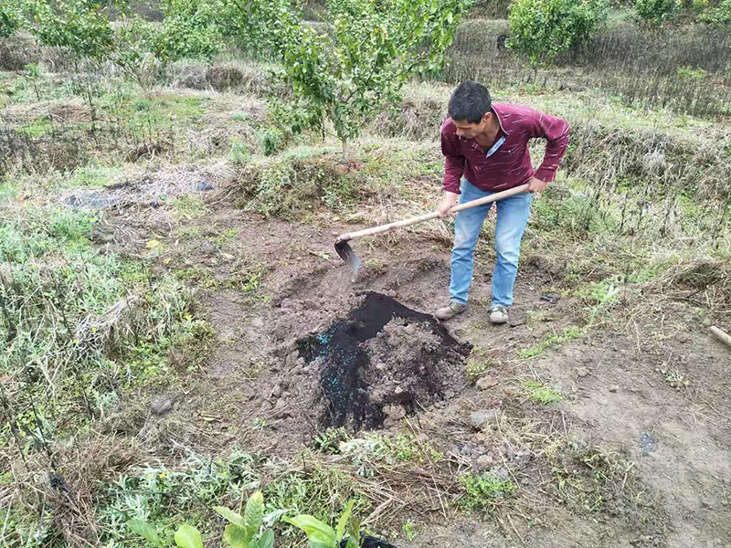 dc74383d17fbe7dc6a2435c3192e3c2