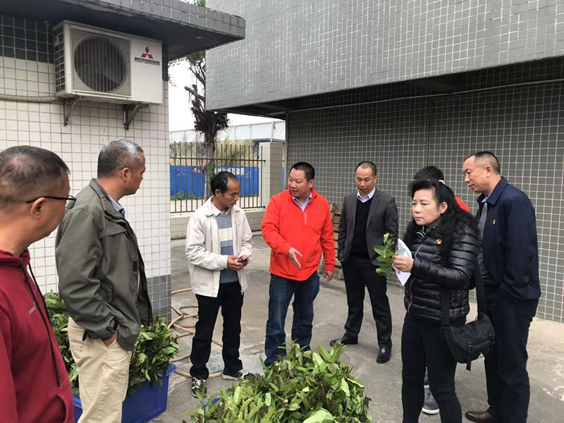 594256165ca2fa311290c436ca6f099