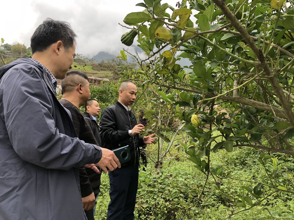 微信图片_20211118162402